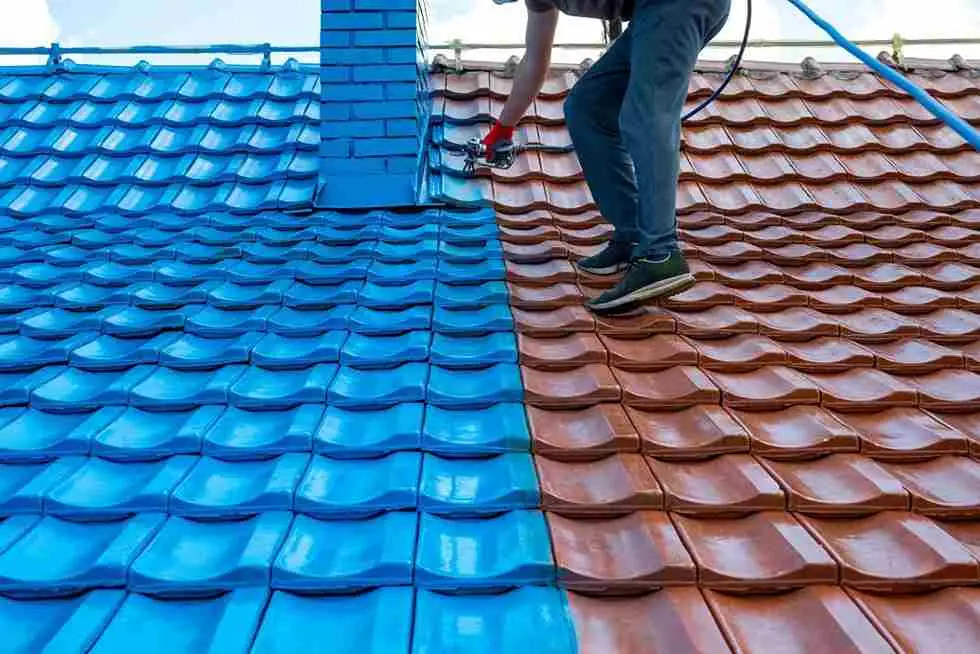 Roof painting