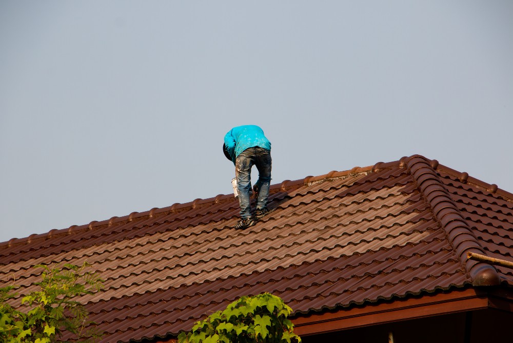 Perfect Roof Painting Partner